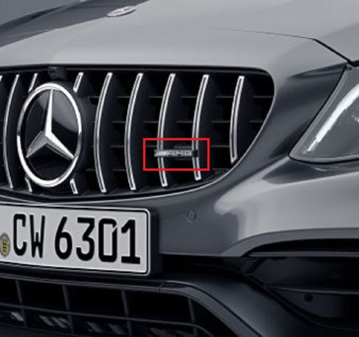 Der Kühlergrill und die Abzeichen club Auto Mercedes-Benz W112 300SE  (schwarz-weiß Stockfotografie - Alamy